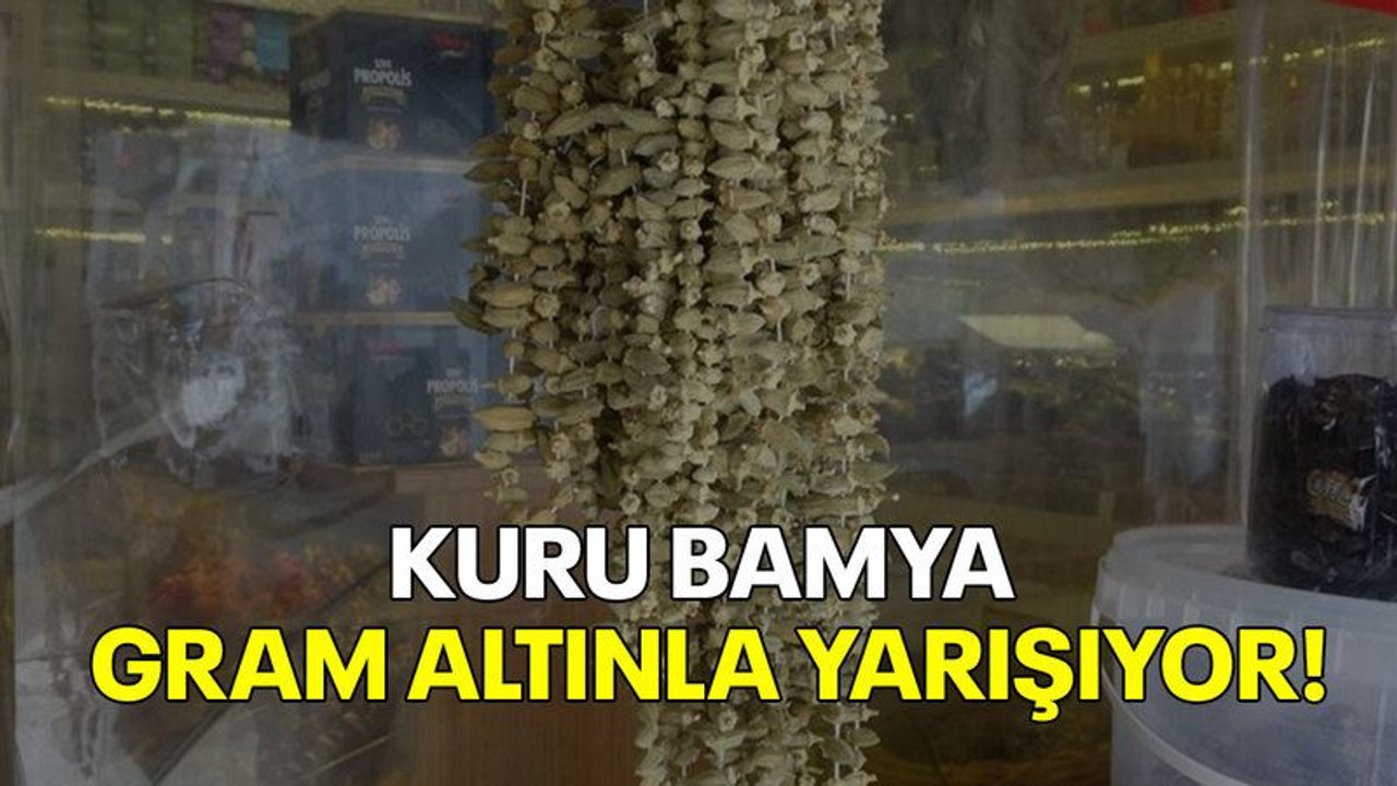 Kuru bamya gram altınla yarışıyor!